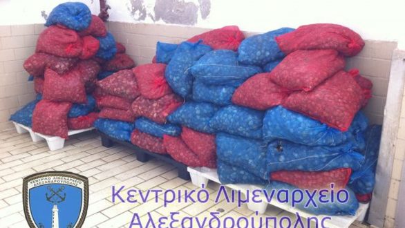 Αλεξανδρούπολη: Καταδίωξη και συλλήψεις 2 ατόμων με 1.617 κιλά ακατάλληλα όστρακα και ναρκωτικές ουσίες