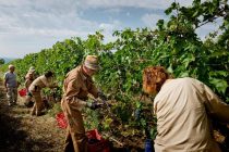 Νέα τμήματα αμπελουργίας και αγγλικών στο ΚΔΒΜ Αλεξανδρούπολης