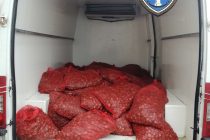 1.603 κιλά όστρακα εντοπίστηκαν και κατασχέθηκαν χθες στην Αλεξανδρούπολη