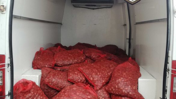 1.603 κιλά όστρακα εντοπίστηκαν και κατασχέθηκαν χθες στην Αλεξανδρούπολη