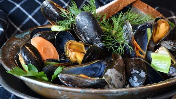 Μεγάλες ποσότητες ακατάλληλων οστρακοειδών κατασχέθηκαν από το Λιμεναρχείο Αλεξανδρούπολης- Τι πρέπει να προσέχετε