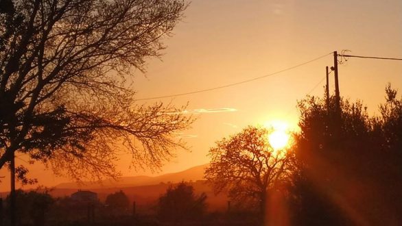 Το τραγούδι της εβδομάδας