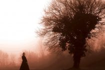 Παρουσίαση Βιβλίου “Σκιές της Αντίπερα Όχθης” στις Καστανιές