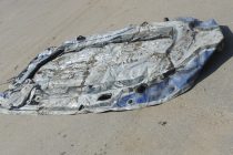 Ορεστιάδα: Σύλληψη διακινητών με 9 άτομα – Θα μετέφεραν με βάρκα άλλα 60