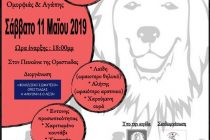 Ορεστιάδα: 3ος Διαγωνισμός ομορφιάς και αγάπης για τα ζώα