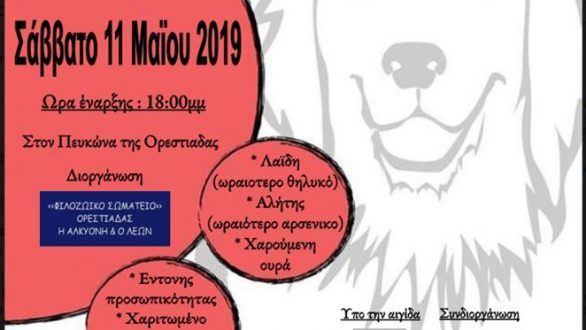 Ορεστιάδα: 3ος Διαγωνισμός ομορφιάς και αγάπης για τα ζώα