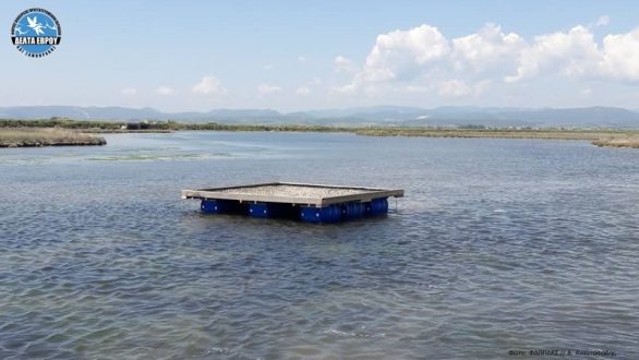 Εξέδρα αναπαραγωγής γλαρονιών στο Δέλτα του Έβρου