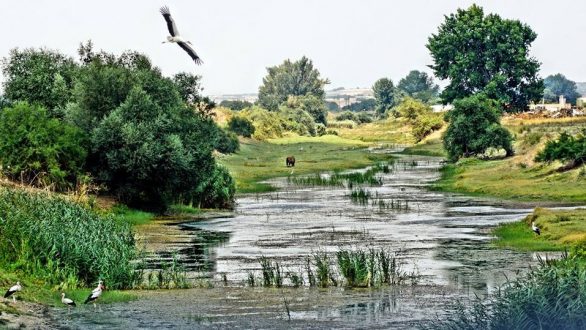 Το τραγούδι της εβδομάδας