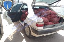 1.093 kg ακατάλληλα όστρακα εντοπίστηκαν στο Δέλτα π. Έβρου