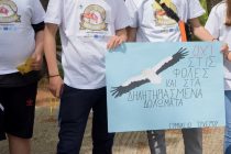 Δαδιά: 132 “νονοί” για τους τελευταίους ασπροπάρηδες της Θράκης