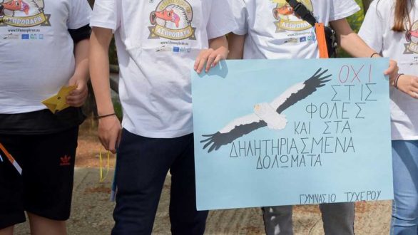 Δαδιά: 132 “νονοί” για τους τελευταίους ασπροπάρηδες της Θράκης