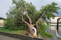 Προβλήματα από την ισχυρή βροχόπτωση στο Διδυμότειχο