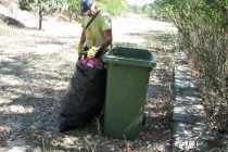 Παγκόσμια ημέρα Περιβάλλοντος: Εθελοντική δράση καθαρισμού στη Δαδιά