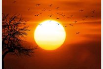 Το πρόγραμμα για τα Ορέστεια 2019