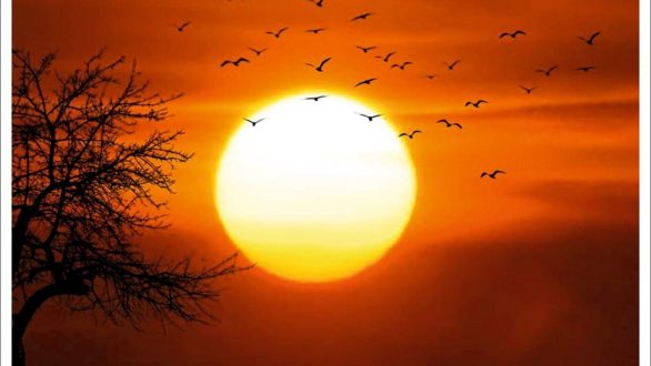 Το πρόγραμμα για τα Ορέστεια 2019