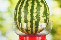 Καύσωνας: Τι να φάτε και τι να αποφύγετε στην μεγάλη ζέστη