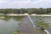 Τρέλλης Χρήστος: «Τα νερά του Άρδα κατέστρεψαν την κοιτόστρωση των Καστανιών»