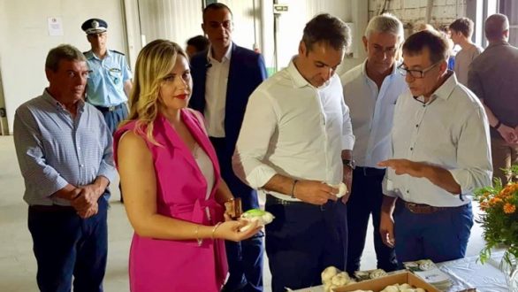 Στον Αγροτικό Συνεταιρισμό Σκόρδου Ν. Βύσσας ξεναγήθηκε ο Κ. Μητσοτάκης