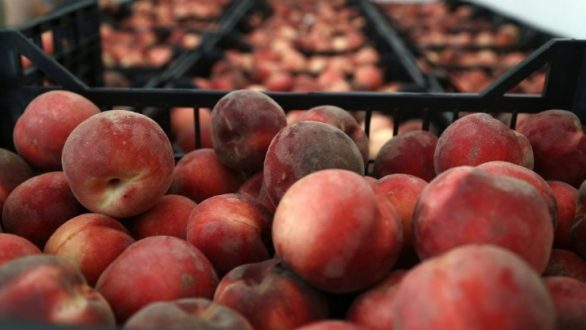 Διανομή φρούτων από το Πολυκοινωνικό Αλεξανδρούπολης