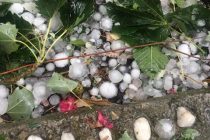 Αλεξανδρούπολη: Τεράστιες καταστροφές από την χαλαζόπτωση σε κτήρια, οχήματα και καλλιέργειες