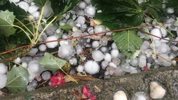 Αλεξανδρούπολη: Τεράστιες καταστροφές από την χαλαζόπτωση σε κτήρια, οχήματα και καλλιέργειες