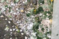 Έκτακτη ενημέρωση από τον δήμο Αλεξανδρούπολης-Τι γίνεται με τις ζημιές