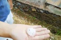 Δημήτρης Πέτροβιτς: «Τώρα γίνεται εκτίμηση της κατάστασης, υπάρχουν ζημιές σε περιουσίες»