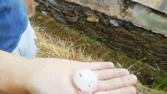 Δημήτρης Πέτροβιτς: «Τώρα γίνεται εκτίμηση της κατάστασης, υπάρχουν ζημιές σε περιουσίες»