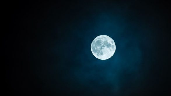 Μουσικό αφιέρωμα στον Μάνο Λοΐζο από το Μουσείο Μετάξης