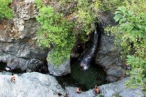 Σοβαρός τραυματισμός άνδρα  στην Σαμοθράκη