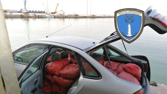 Σύλληψη για μεταφορά ενός τόνου παράνομων οστράκων στην Αλεξανδρούπολη