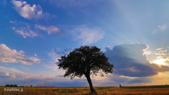 Το τραγούδι της εβδομάδας
