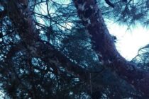 Έγκριση χρηματοδότησης μελέτης ωρίμανσης καθαρής ενέργειας στη Σαμοθράκη