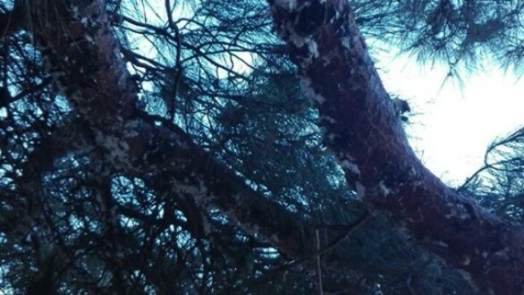 Έγκριση χρηματοδότησης μελέτης ωρίμανσης καθαρής ενέργειας στη Σαμοθράκη