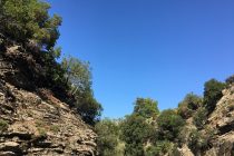 Επιχείρηση διάσωσης στη Σαμοθράκη – Γερμανίδα τουρίστρια τραυματίστηκε σε δύσβατο σημείο