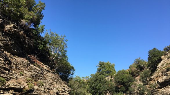 Επιχείρηση διάσωσης στη Σαμοθράκη – Γερμανίδα τουρίστρια τραυματίστηκε σε δύσβατο σημείο