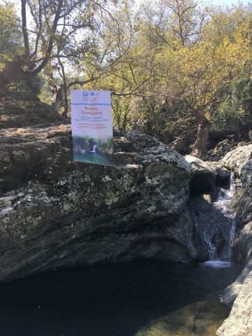 φεστιβάλ θρακικού πελάγους