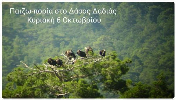 Παιζω-πορία στο Δάσος Δαδιάς