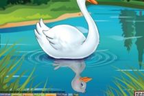 Η παιδική παράσταση “Το Ασχημόπαπο” έρχεται στην Αλεξανδρούπολη