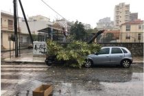 Ένωση Γονέων Δήμου Αλεξανδρούπολης: Απαραίτητοι οι έλεγχοι για την ασφάλεια στους σχολικούς χώρους