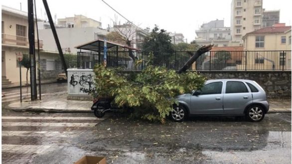 Ένωση Γονέων Δήμου Αλεξανδρούπολης: Απαραίτητοι οι έλεγχοι για την ασφάλεια στους σχολικούς χώρους