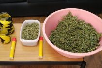 Αλεξανδρούπολη: Βρήκαν στην οικία του βεγγαλικά και ναρκωτικά