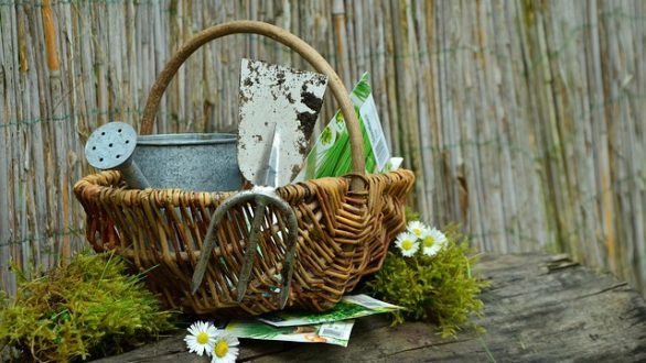 Τι να σπείρετε τον μήνα Νοέμβριο