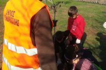 Δενδροφύτευση στο πάρκο Άγγελου Ποιμενίδη στην Αλεξανδρούπολη