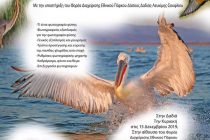 Δαδιά: Σεμινάριο Φωτογραφίας Φύσης