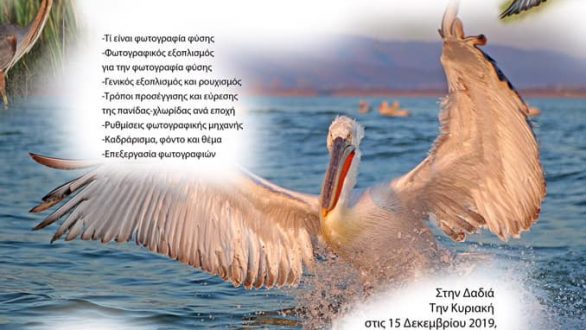 Δαδιά: Σεμινάριο Φωτογραφίας Φύσης