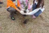 Πραγματοποιήθηκε με τους μικρούς μαθητές η δάσωση 10 στρεμμάτων ενάντια στην κλιματική αλλαγή