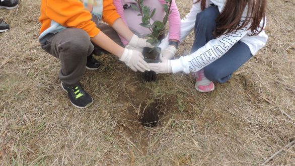 Πραγματοποιήθηκε με τους μικρούς μαθητές η δάσωση 10 στρεμμάτων ενάντια στην κλιματική αλλαγή