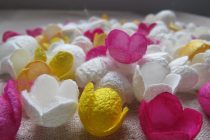 Κύκλος δημιουργικών εργαστηρίων για ενήλικες στο Μουσείο Μετάξης