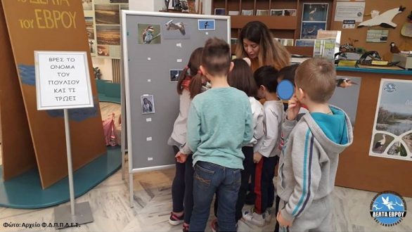 Παγκόσμια Ημέρα Υγροτόπων 2020 για το Δέλτα του Έβρου